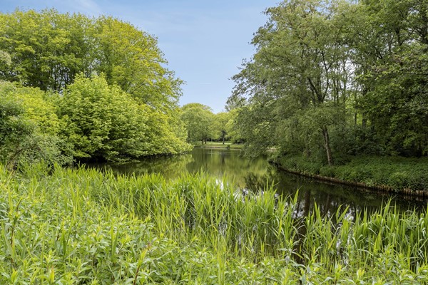 Medium property photo - Van Walbeeckstraat 105h, 1058 CN Amsterdam